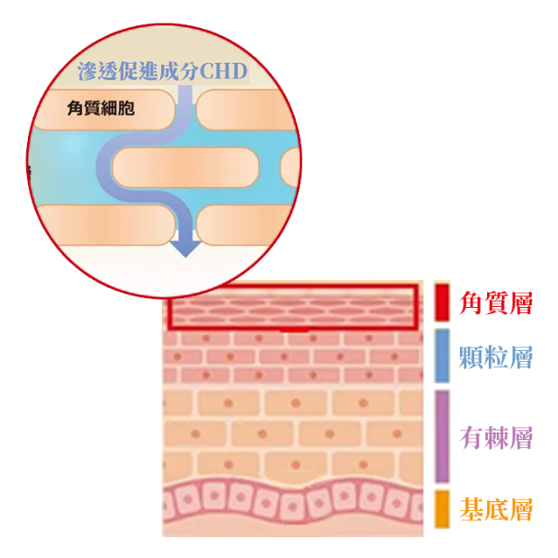 肌美精濃潤抗皺修復精華