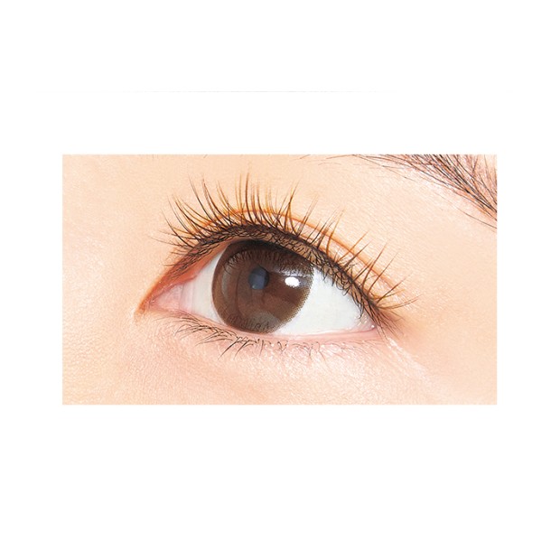 D-UP Color Lash - Beige 04 彩色柔和假眼睫毛 - 可愛淺棕 04