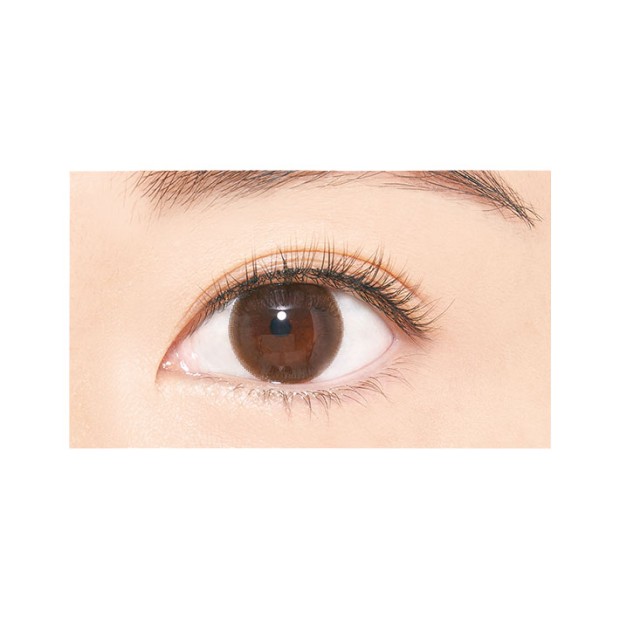 D-UP Airy Curl Lash - Long 06 輕盈捲翹假眼睫毛 - 纖長甜美 06