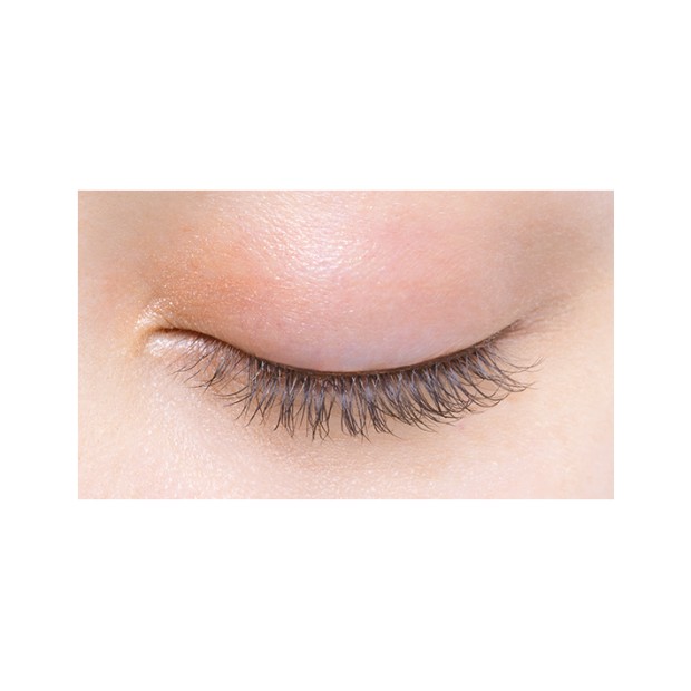 D-UP Lash ON 無痕束感假眼睫毛 (自然綻放) 01 Lash ON Eyelashes (Natural) 01