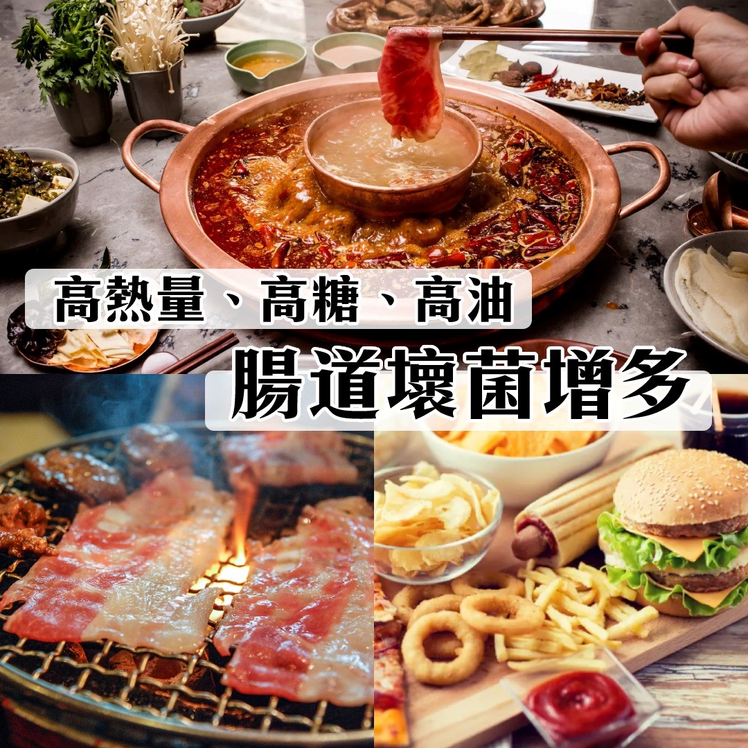 補充益菌養出易瘦體質