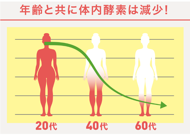 隨着年齡增長，體內的酵素會大大減少