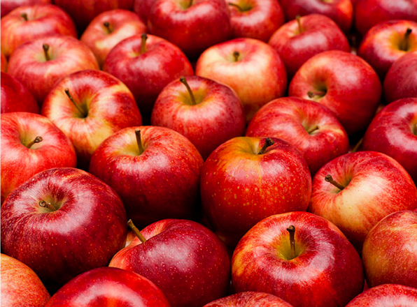 追加日本國產蘋果天然神經醯胺Ceramide，臨床實證能修補肌膚的天然屏障